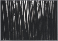 KT 2011 070
<br/>
Project Preserved Places. Charred landscape (II)
<br/>
<em>Mens, Carlijn (1972)</em>